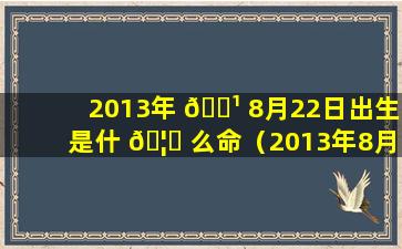 2013年 🌹 8月22日出生是什 🦍 么命（2013年8月22日出生的是什么星座）